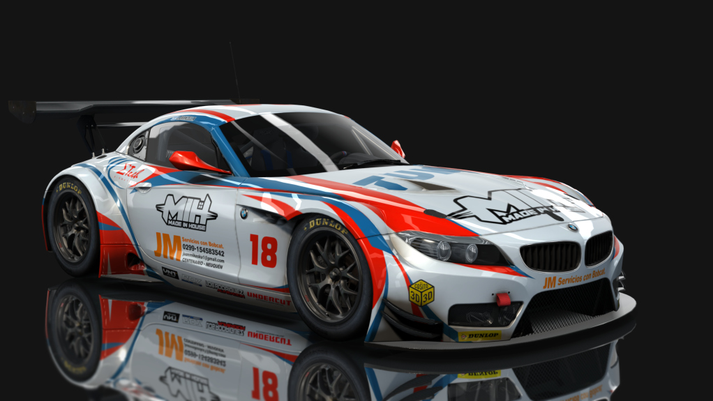 BMW Z4 GT3, skin 18_Tuki_Granzella