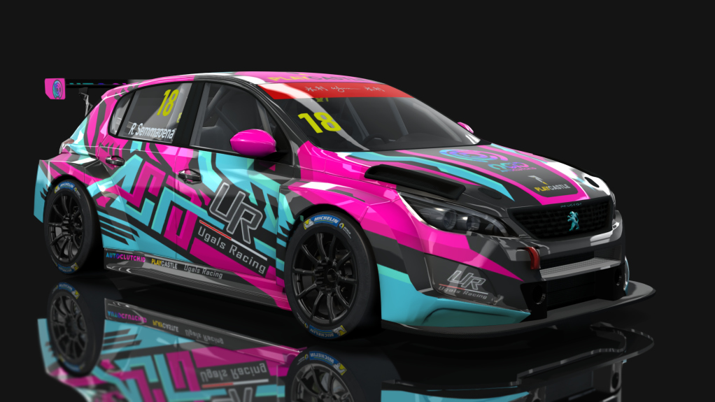 HK51 TCR Peugeot 308 Preview Image