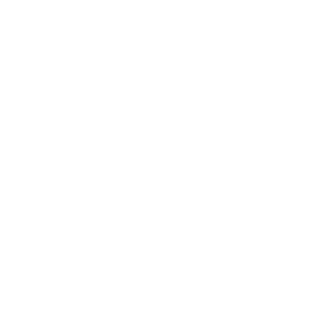 Copa Gol Volkwsagen del Sudeste - G2 Badge
