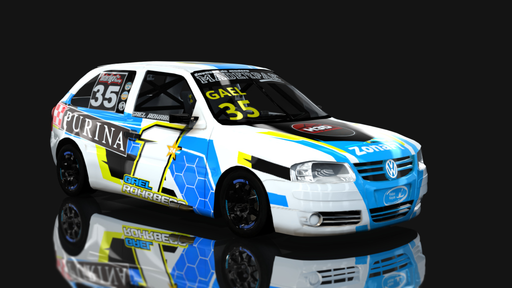 Copa Gol Volkwsagen del Sudeste - G4, skin Gael Rohrberg 25