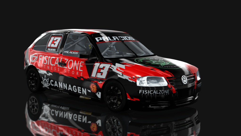 Copa Gol Volkwsagen del Sudeste - G4, skin palacios